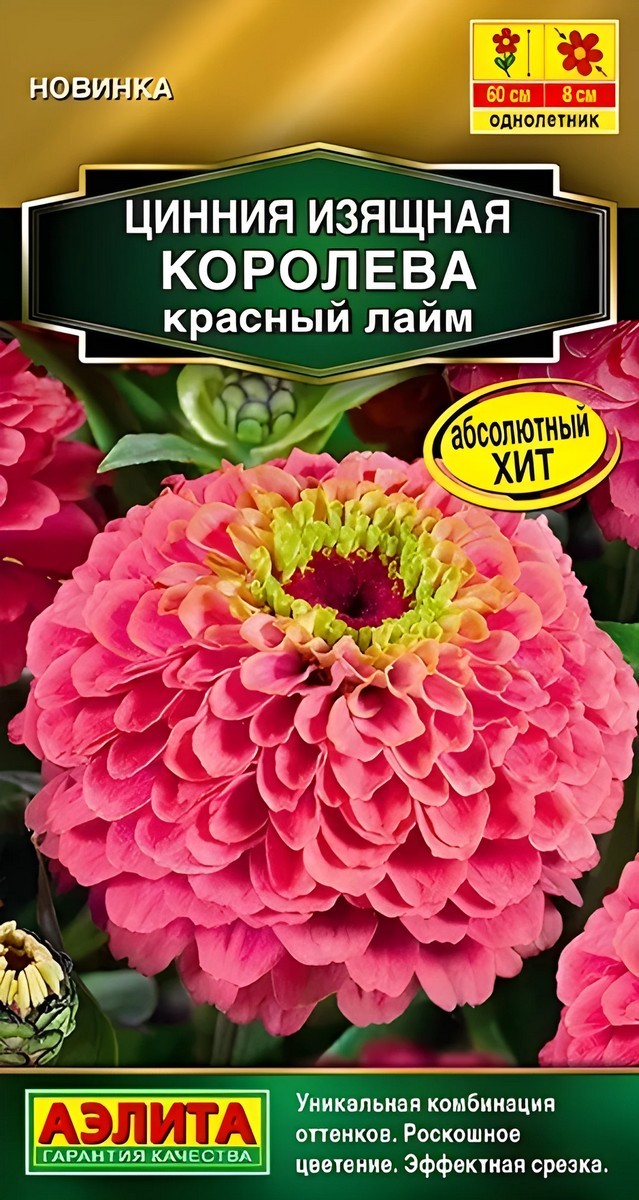 Цинния Королева красный лайм, 5 шт 