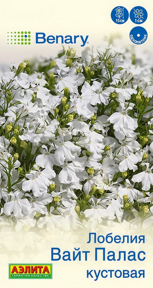 Лобелия Вайт палас кустовая, 5 шт.