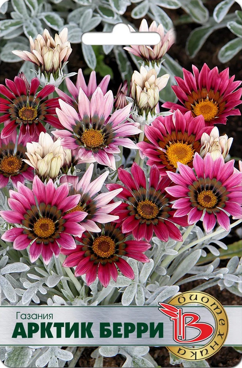 Газания Арктик Берри, 7 шт. Биотехника