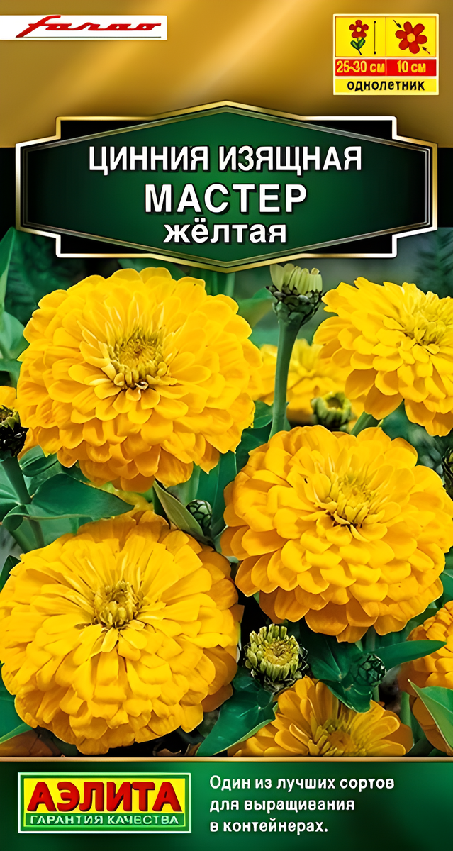 Цинния изящная Мастер, желтая, 12 шт.