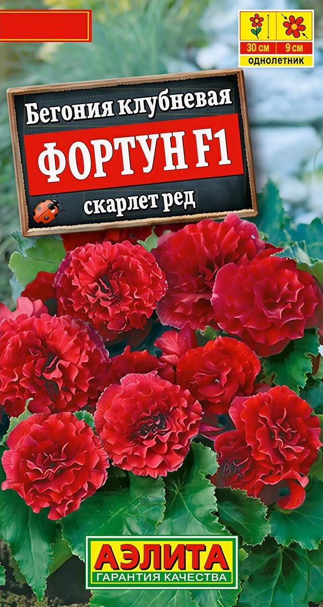 Бегония клубневая Фортун F1 скарлет ред, 5 шт.