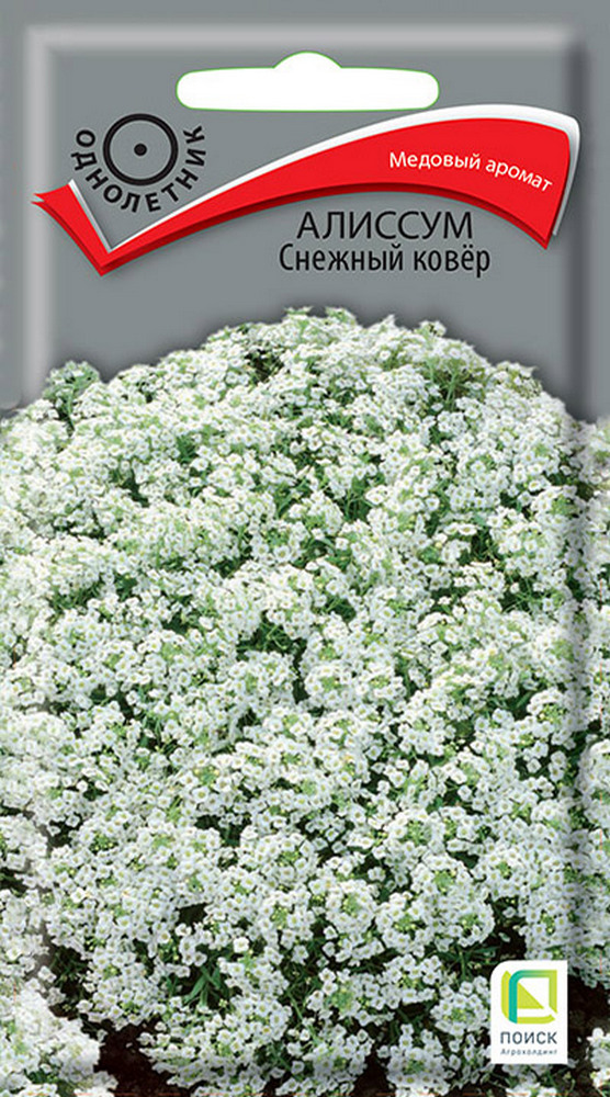 Алиссум Снежный ковёр, 0,3 г