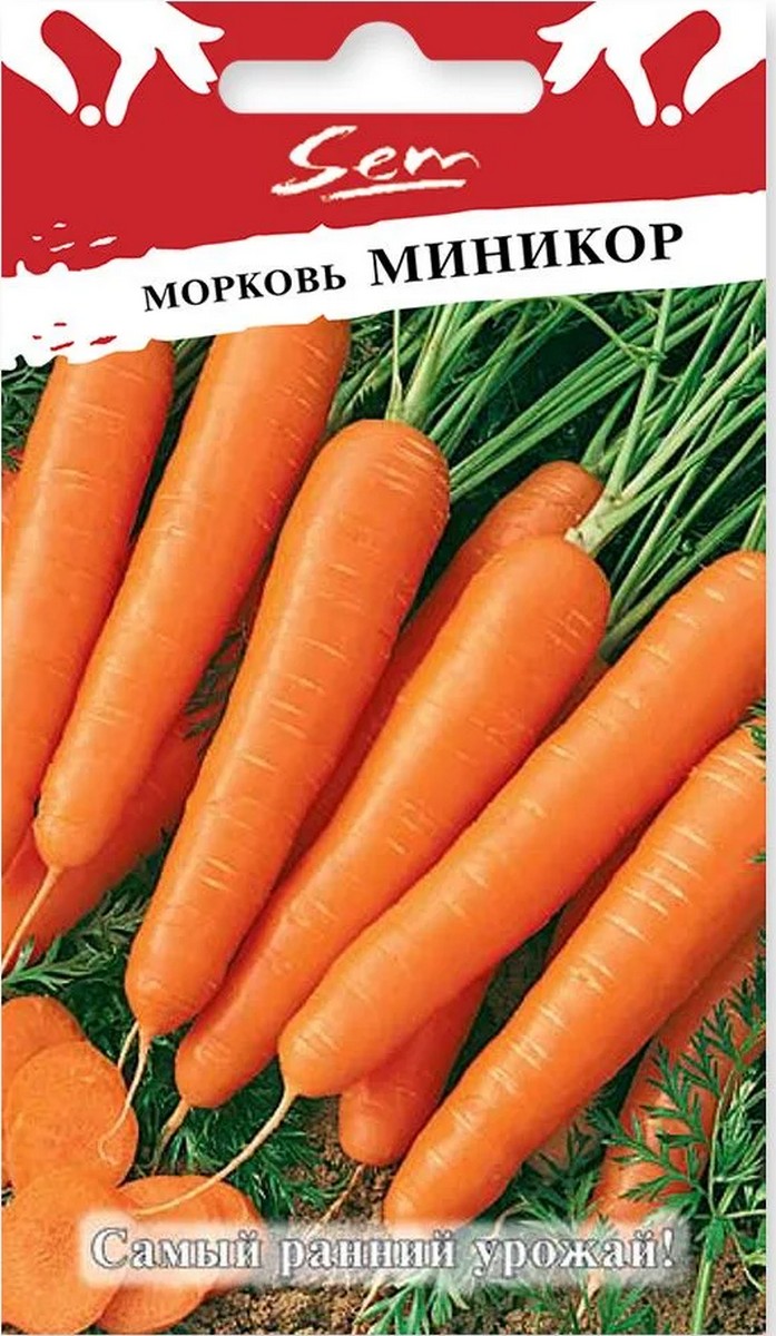 Морковь Миникор, 2 г. Русский огород