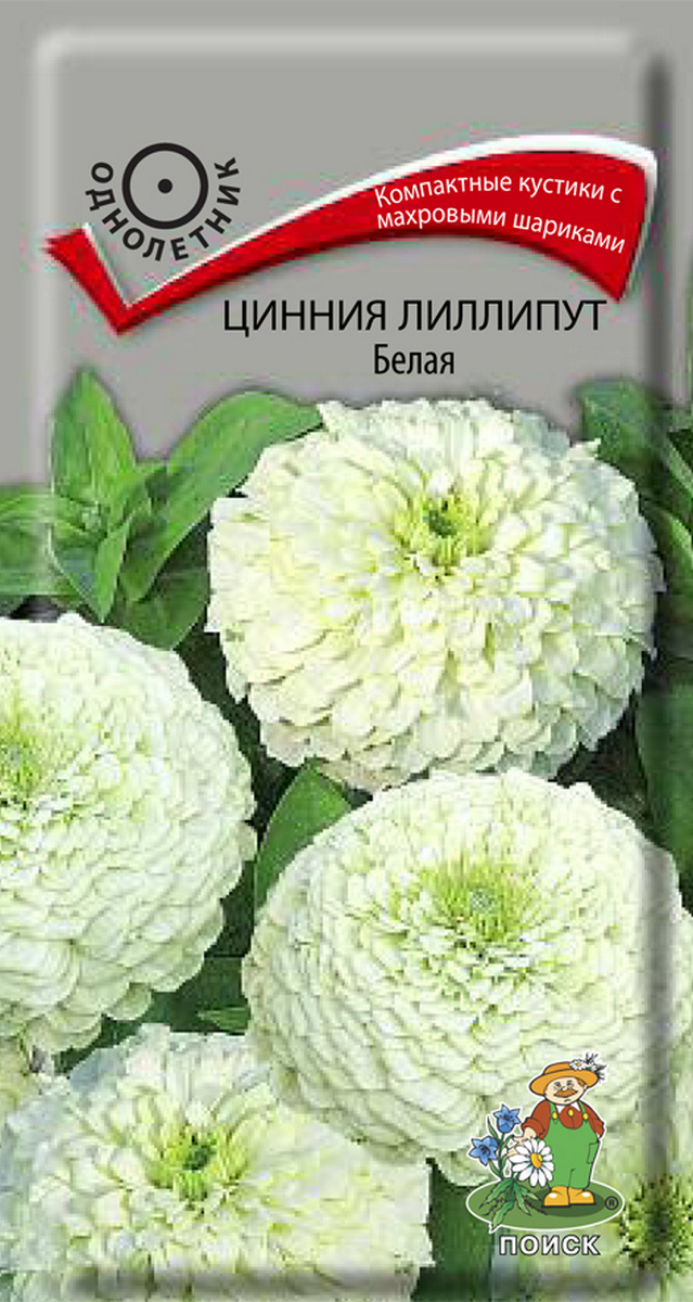 Цинния Лиллипут Белая, 0,4 г