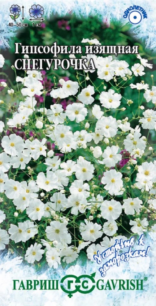 Гипсофила изящная Снегурочка, 0,1 г. Устойчив к заморозкам.