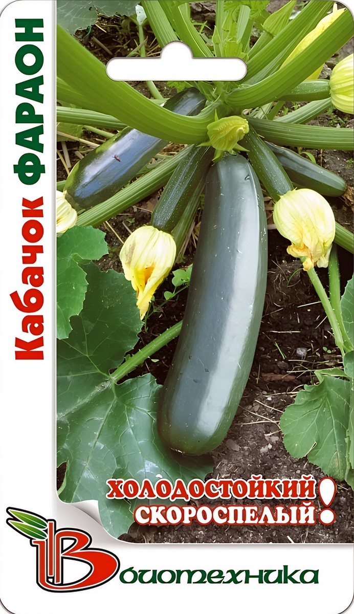 Кабачок Фараон, 8 шт. Биотехника.