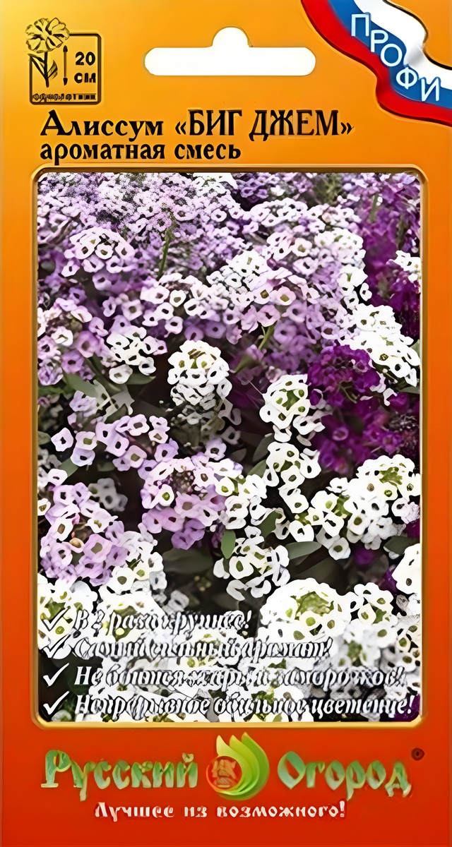 Алиссум Биг Джем, 30 шт. Сибирский сад