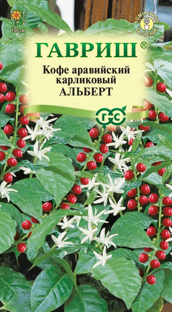 Кофе аравийский карликовый Альберт, 5 шт.