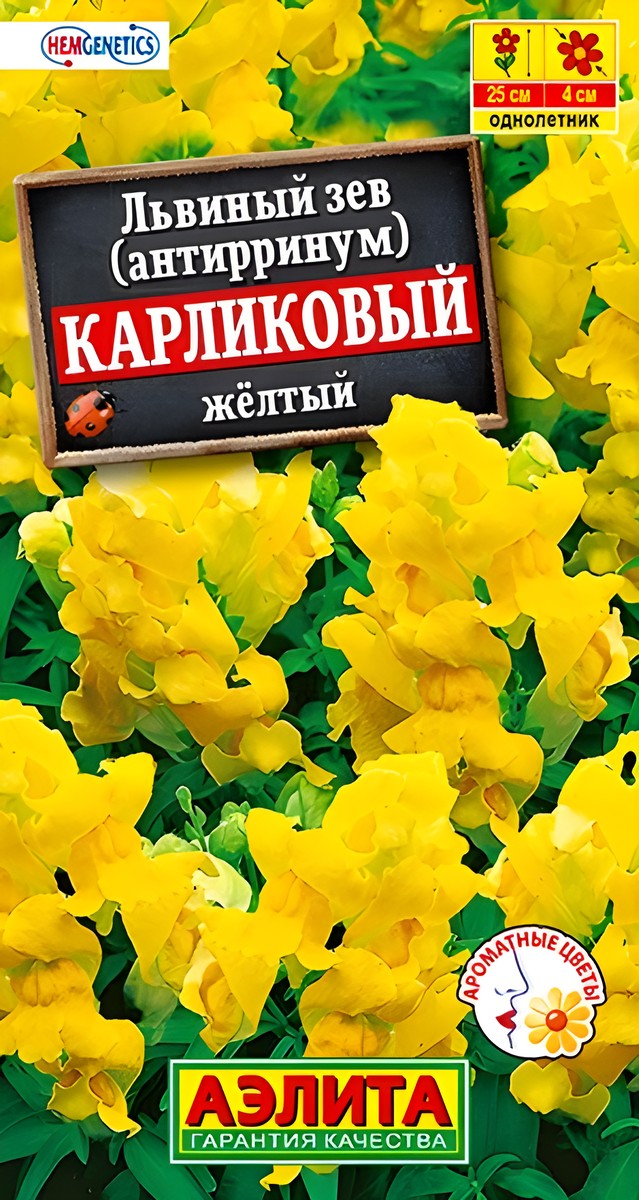 Львиный зев Карликовый, желтый, 10 шт.