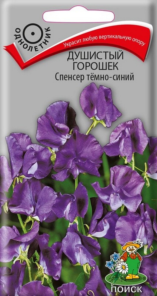 Душистый горошек Спенсер темно-синий, 1 г