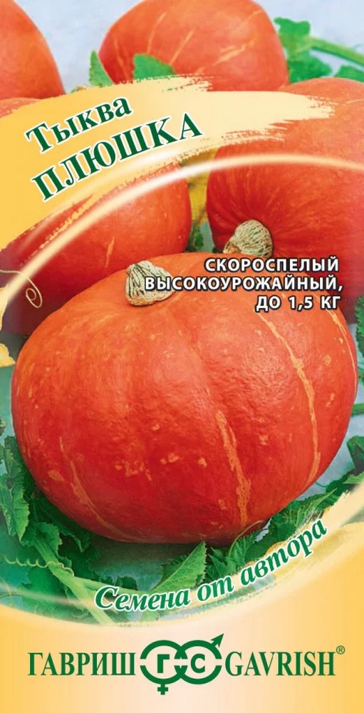 Тыква Плюшка, 2 г. Авторские семена.