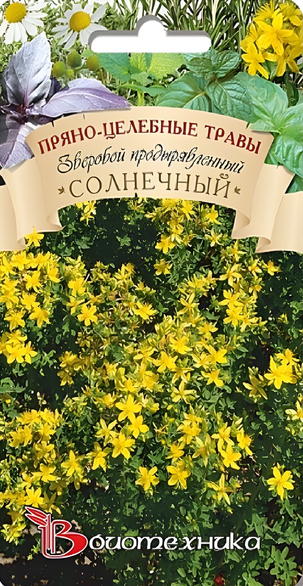 Зверобой продырявленный Солнечный, 0,1 г. Биотехника.