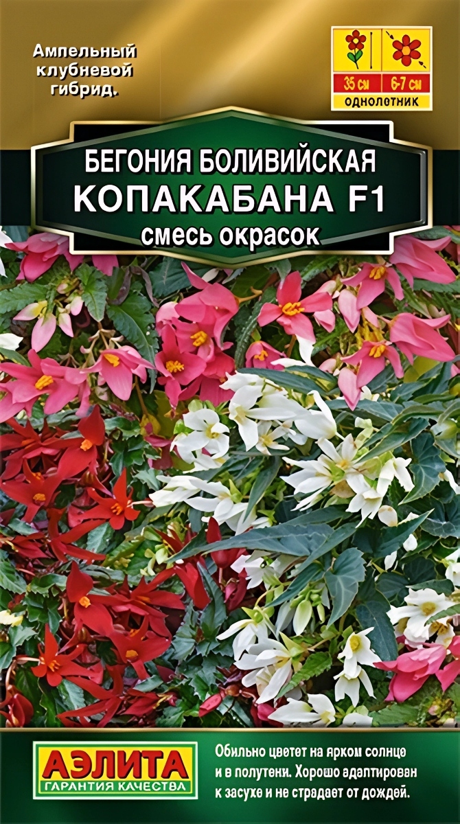 Бегония боливийская Копакабана F1, смесь, 5 шт.