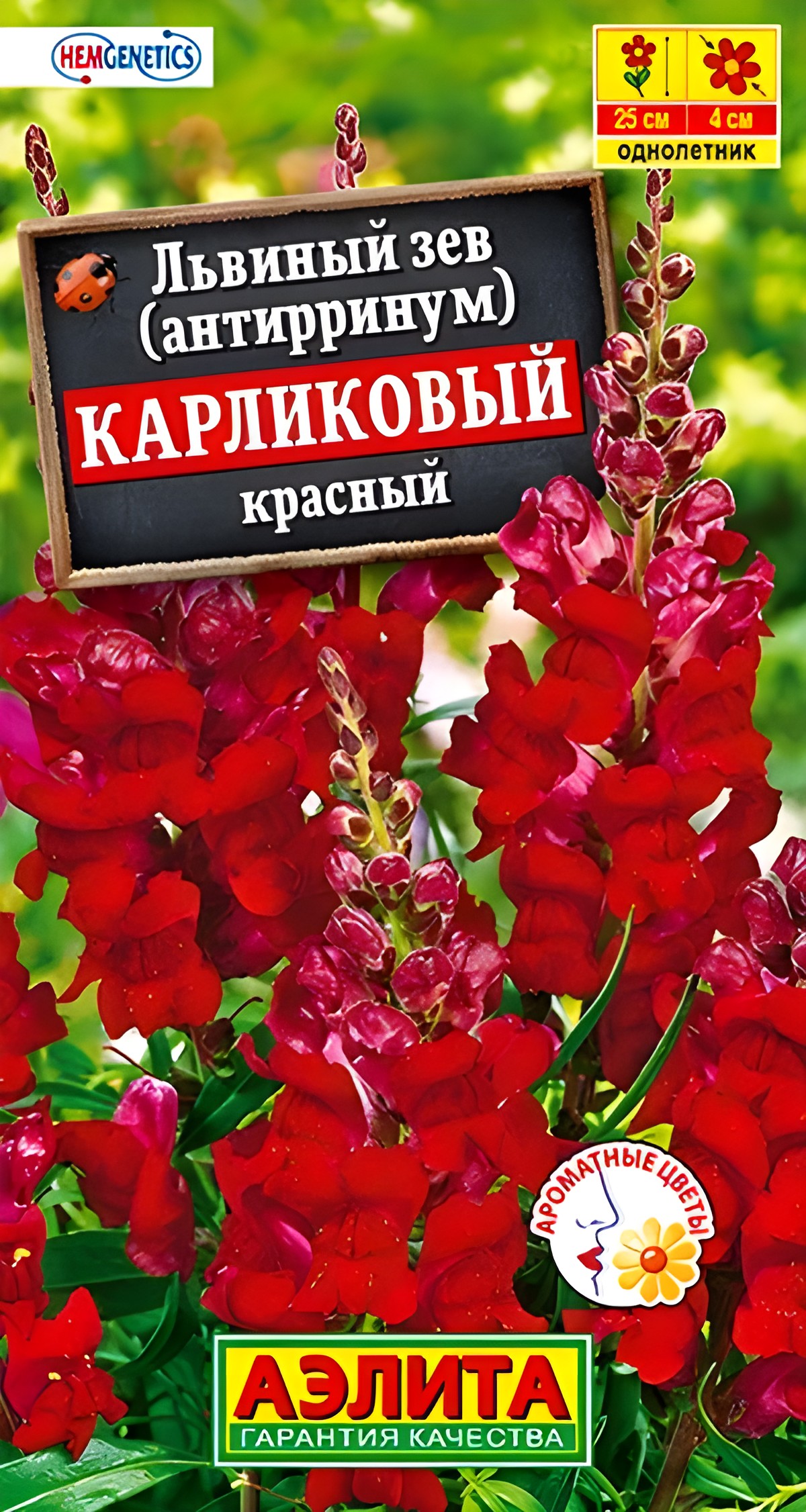 Львиный зев Карликовый, красный, 10 шт.