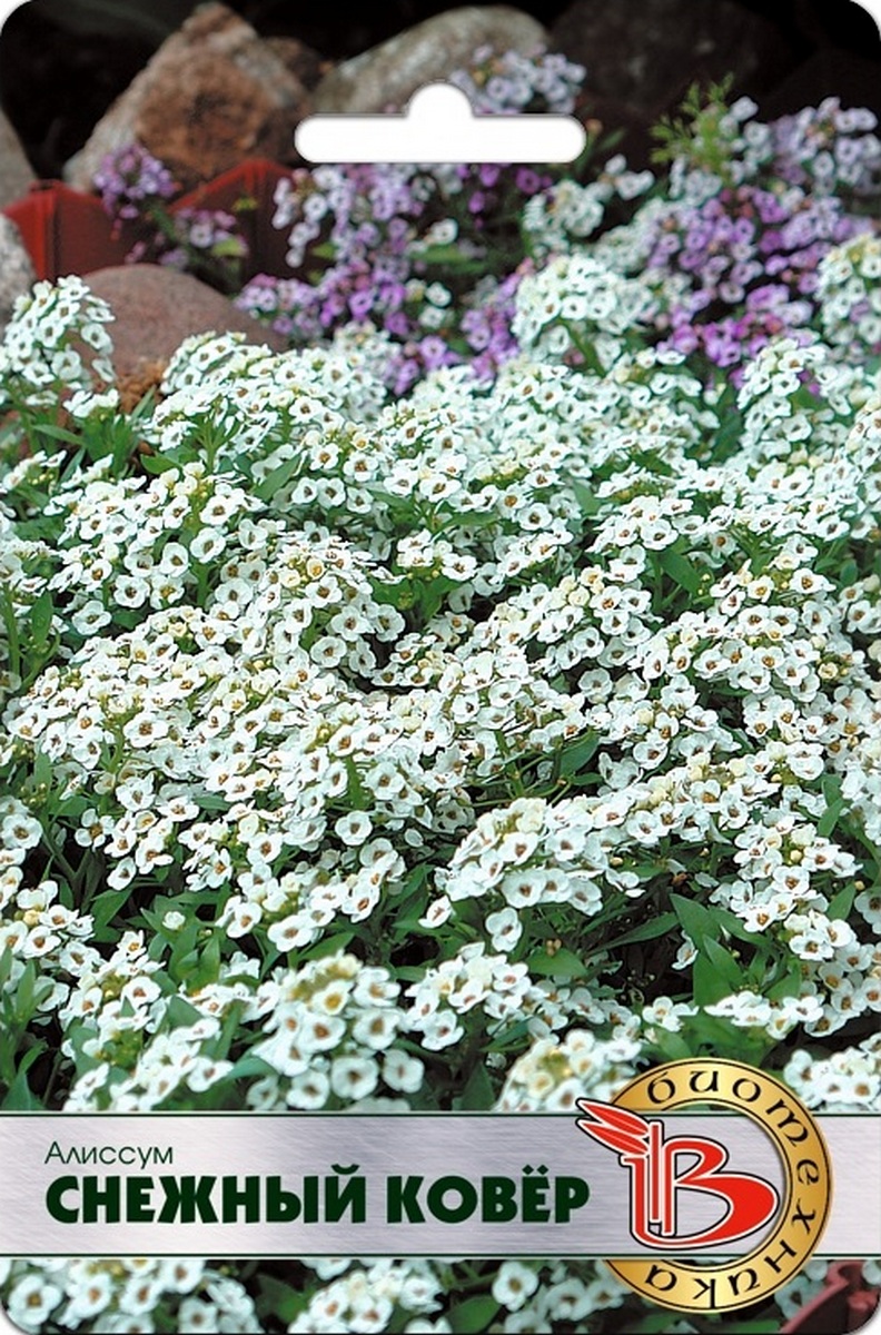 Алиссум Снежный ковер, 200 шт. Биотехника 