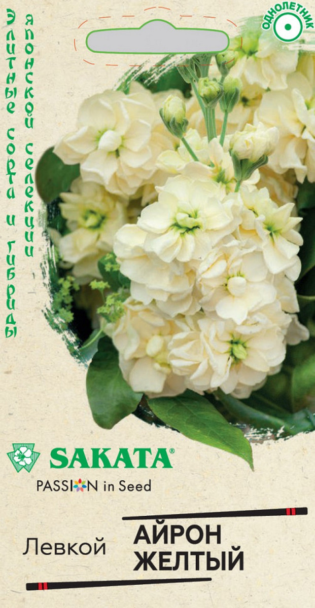 Левкой Айрон желтый, 5 шт. Саката.