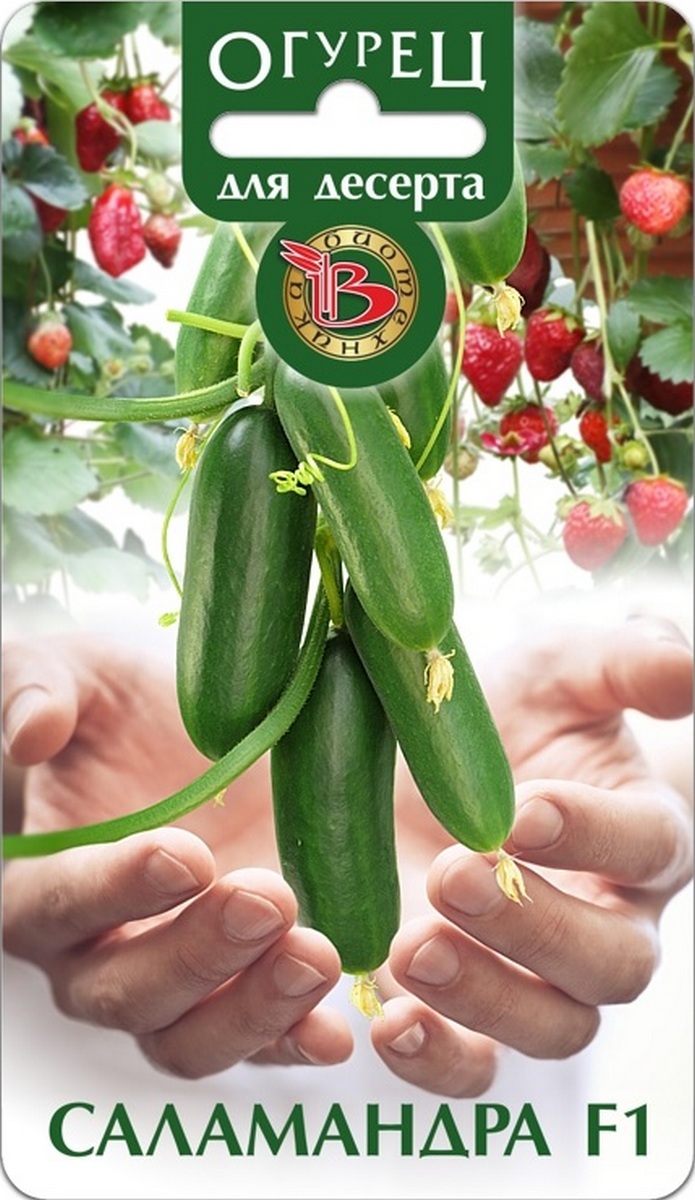Огурец Саламандра F1, 8 шт. Биотехника