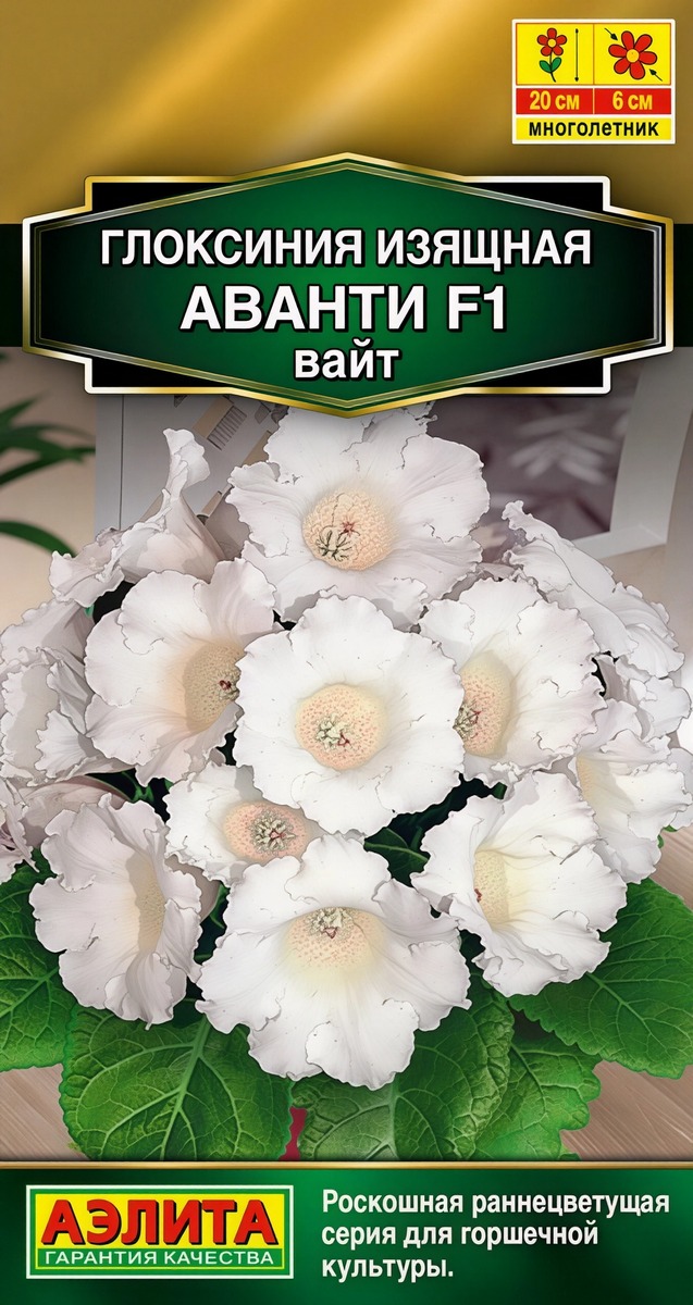 Глоксиния Аванти F1 вайт, 5 шт.