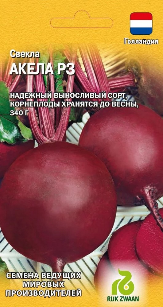 Свекла Акела РЗ, 1 г. Голландия.