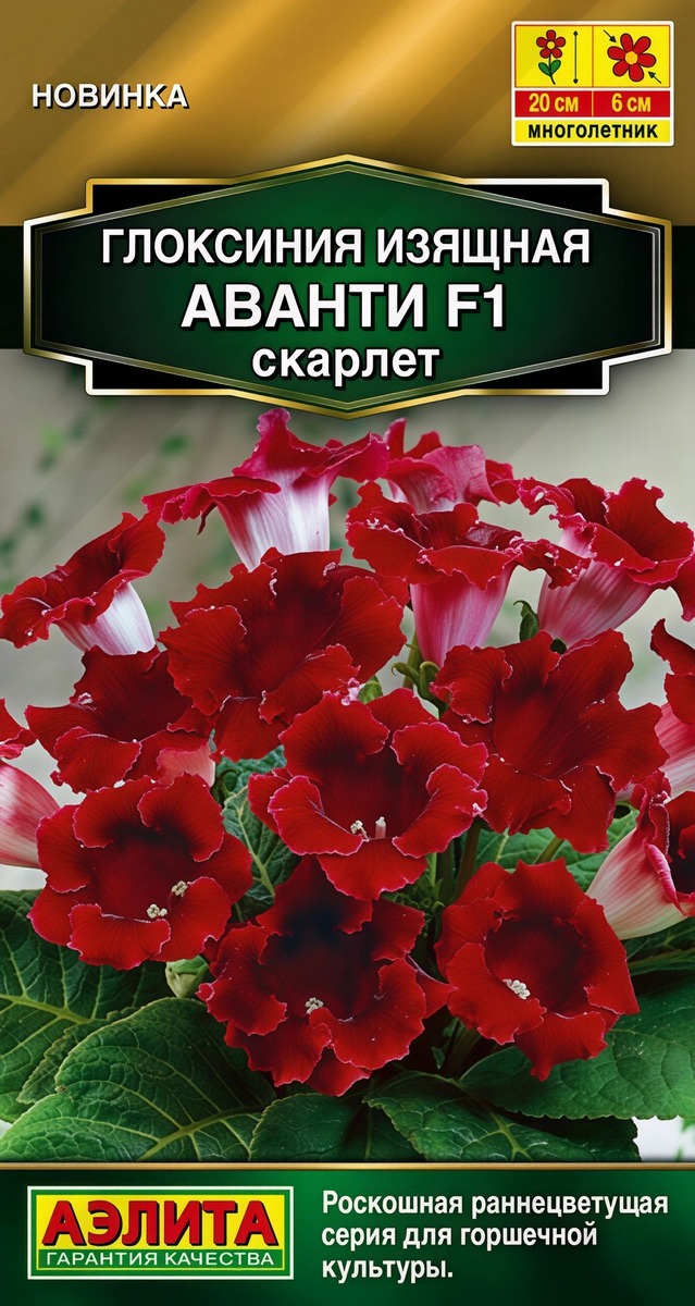 Глоксиния Аванти F1 скарлет, 5 шт.