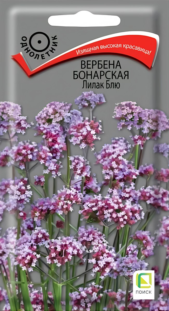 Вербена бонарская Лилак Блю, 0,1 г
