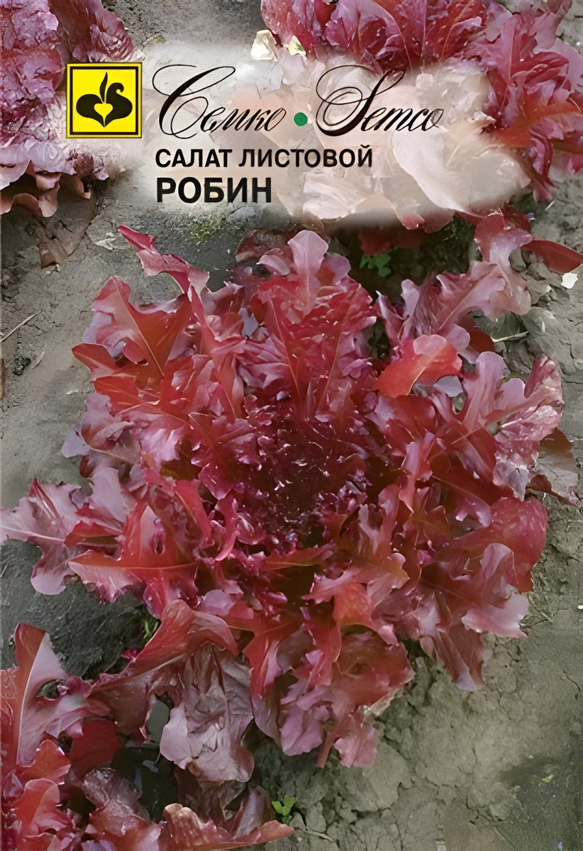 Салат листовой Робин, 1 г