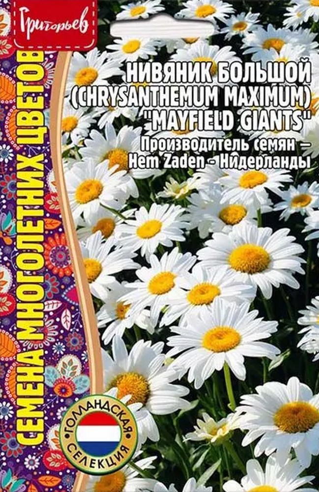 Нивяник Большой Mayfield Giants (Мэйфилд Джайентс), 0,2 г