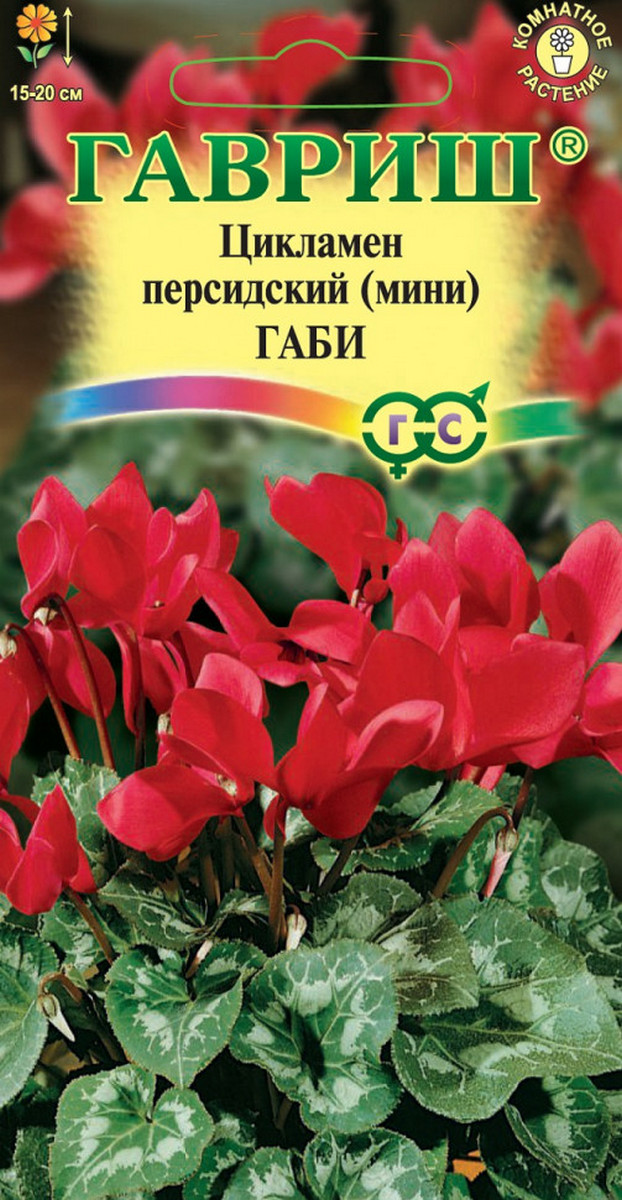 Цикламен персидский Габи, 3 шт. 