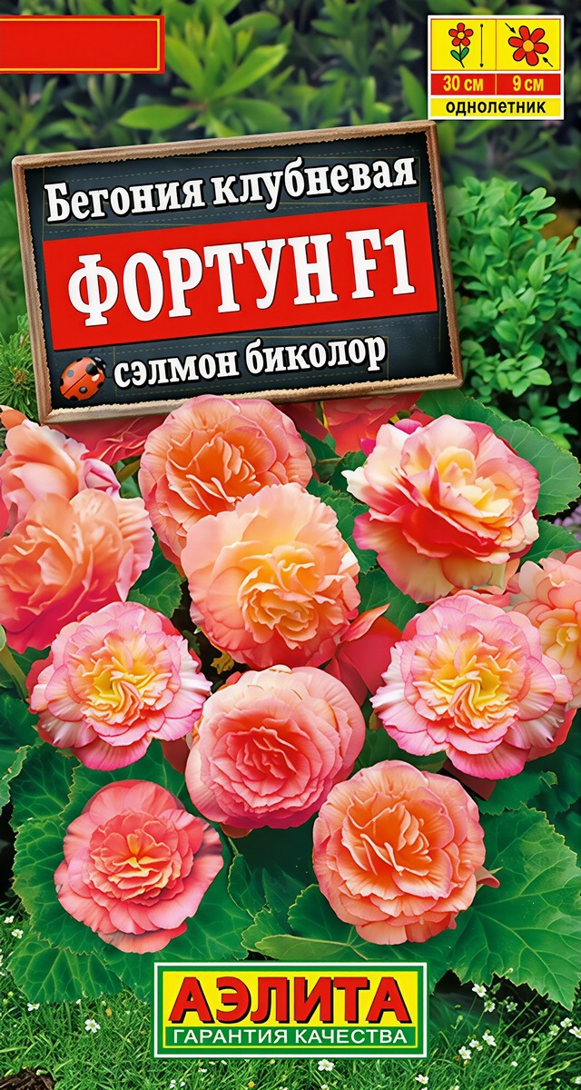 Бегония клубневая Фортун F1 сэлмон биколор, 5 шт.