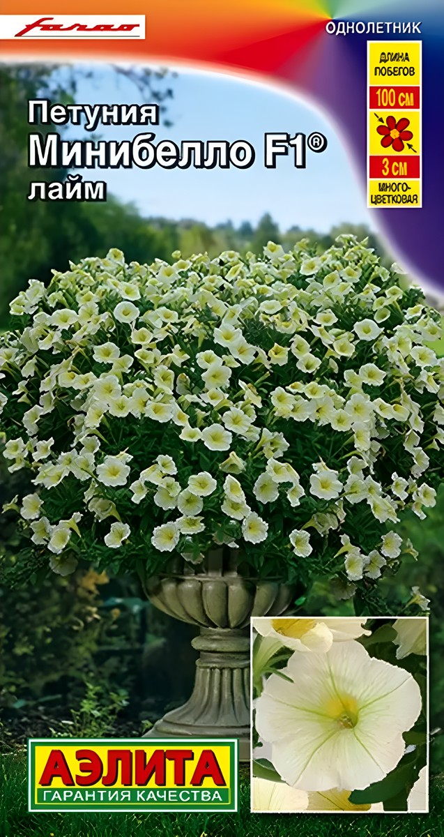Петуния мини Минибелло F1 лайм многоцветковая, 5 шт.