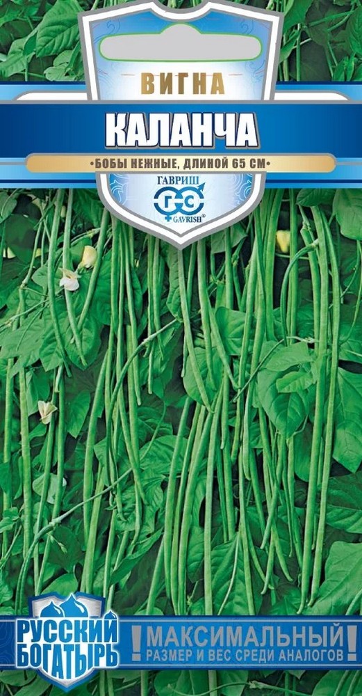 Вигна Каланча, 10 шт. Русский богатырь.