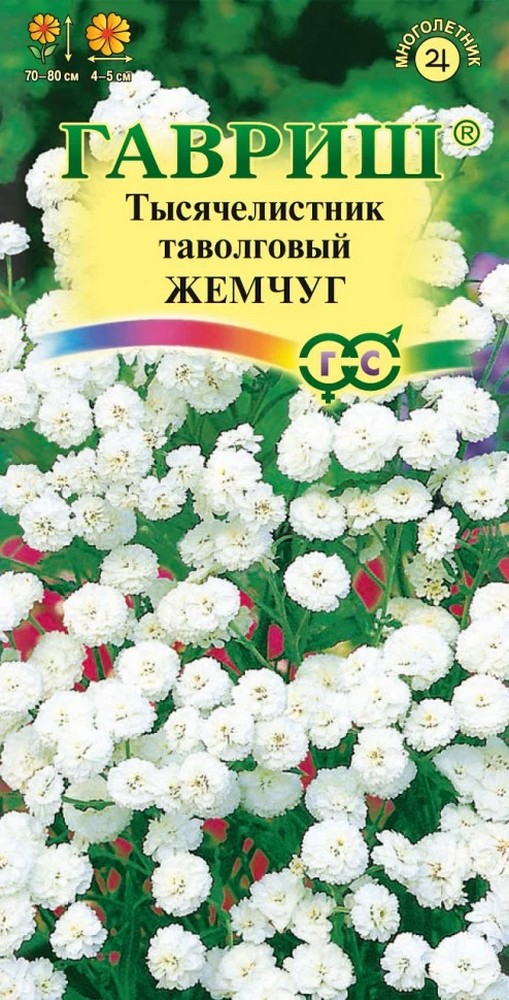 Тысячелистник таволговый Жемчуг, 0,05 г