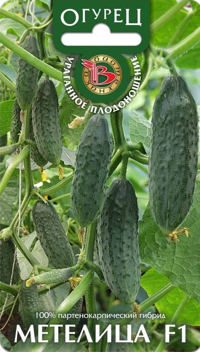 Огурец Метелица F1, 8 шт. Биотехника