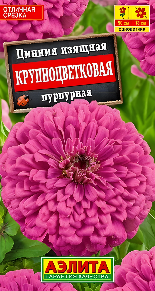 Цинния изящная Крупноцветковая, пурпурная, 0,3 г