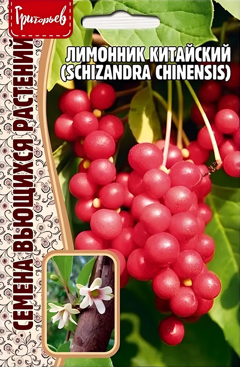 Лимонник Китайский, 5 шт.