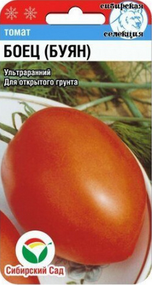 Томат Боец (Буян), 20 шт. Сибирский сад