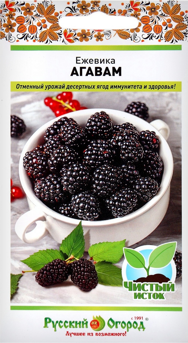 Ежевика Агавам, 22 шт.