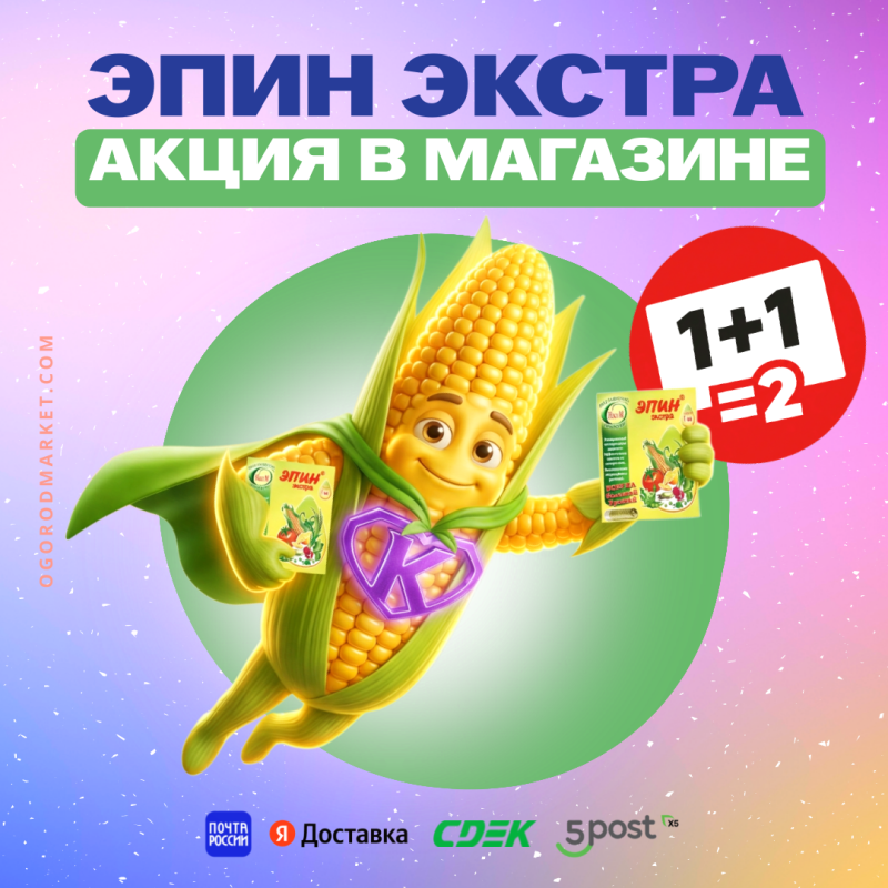 Двойная защита. Эпин 1+1=2