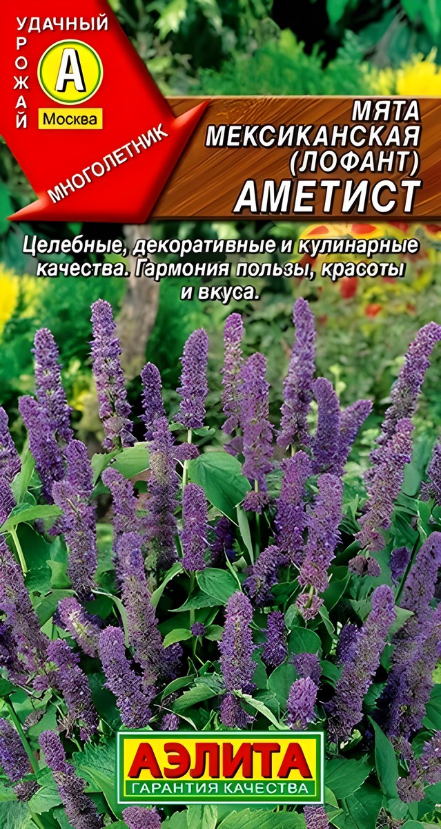 Мята мексиканская Аметист, 0,05 г