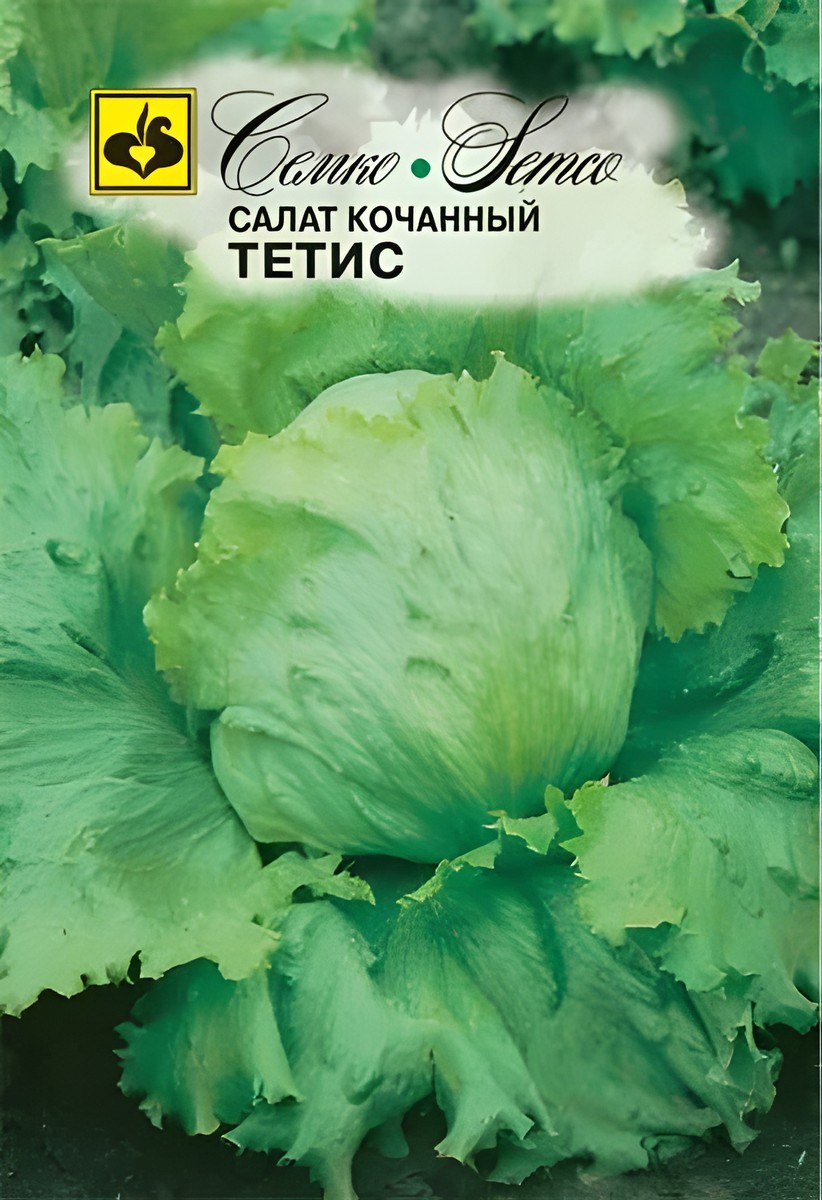 Салат кочанный Тетис, 1 г