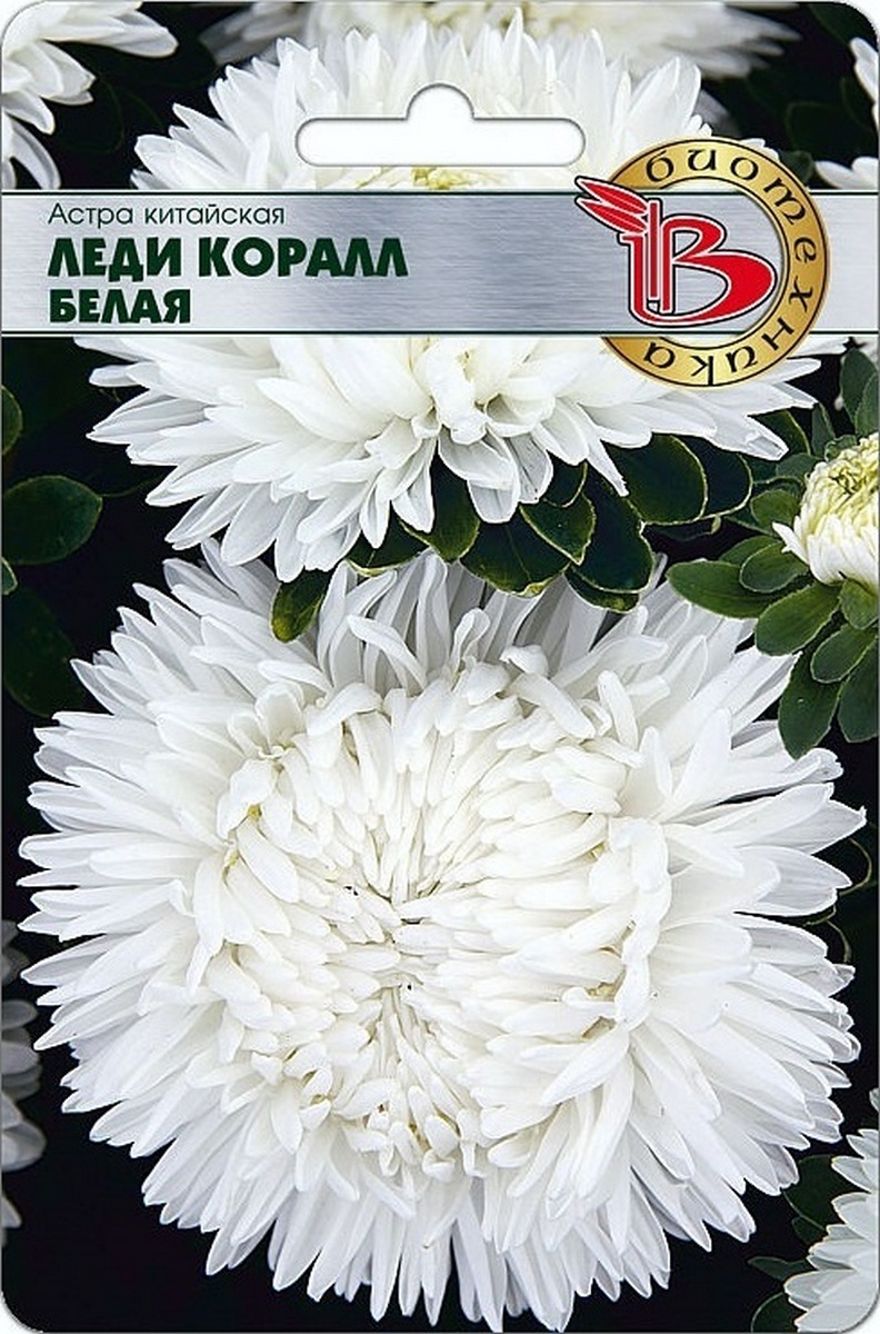 Астра Леди Коралл Вайт, 40 шт. Биотехника