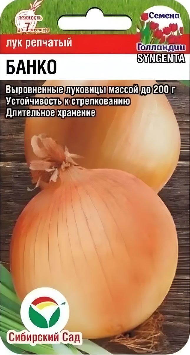 Лук Банко F1, 200 шт. Семена Голландии . Сибирский сад