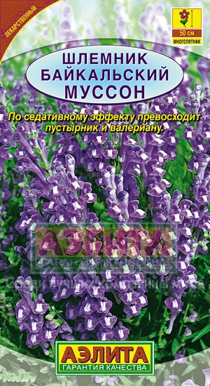 Шлемник байкальский Муссон, 0,05 г
