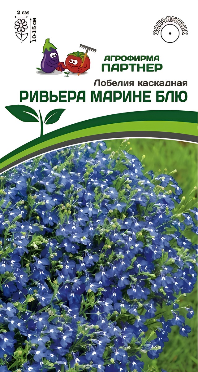 Лобелия каскадная Ривьера Марине Блю, 10 шт.
