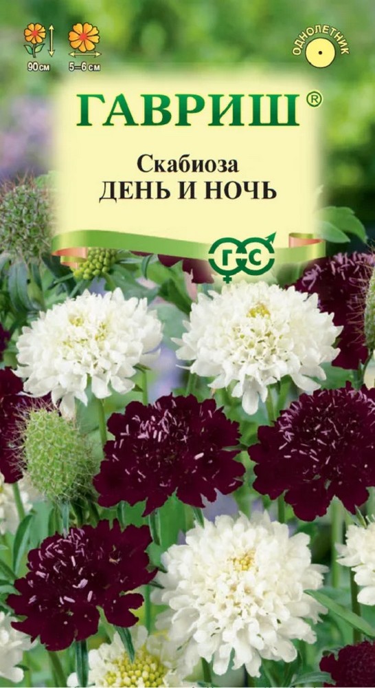 Скабиоза пурпурная День и ночь, смесь 0,2 г 