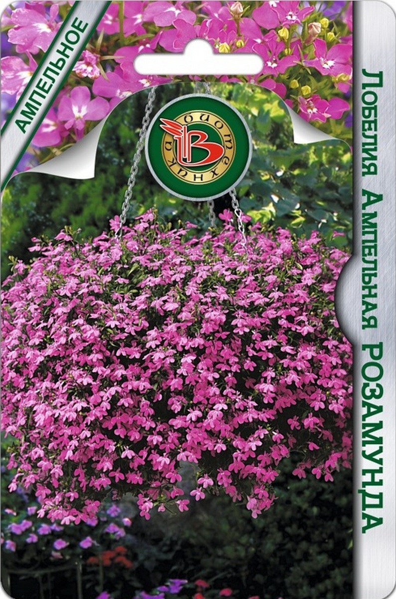 Лобелия ампельная Розамунда, 1000 шт. Биотехника