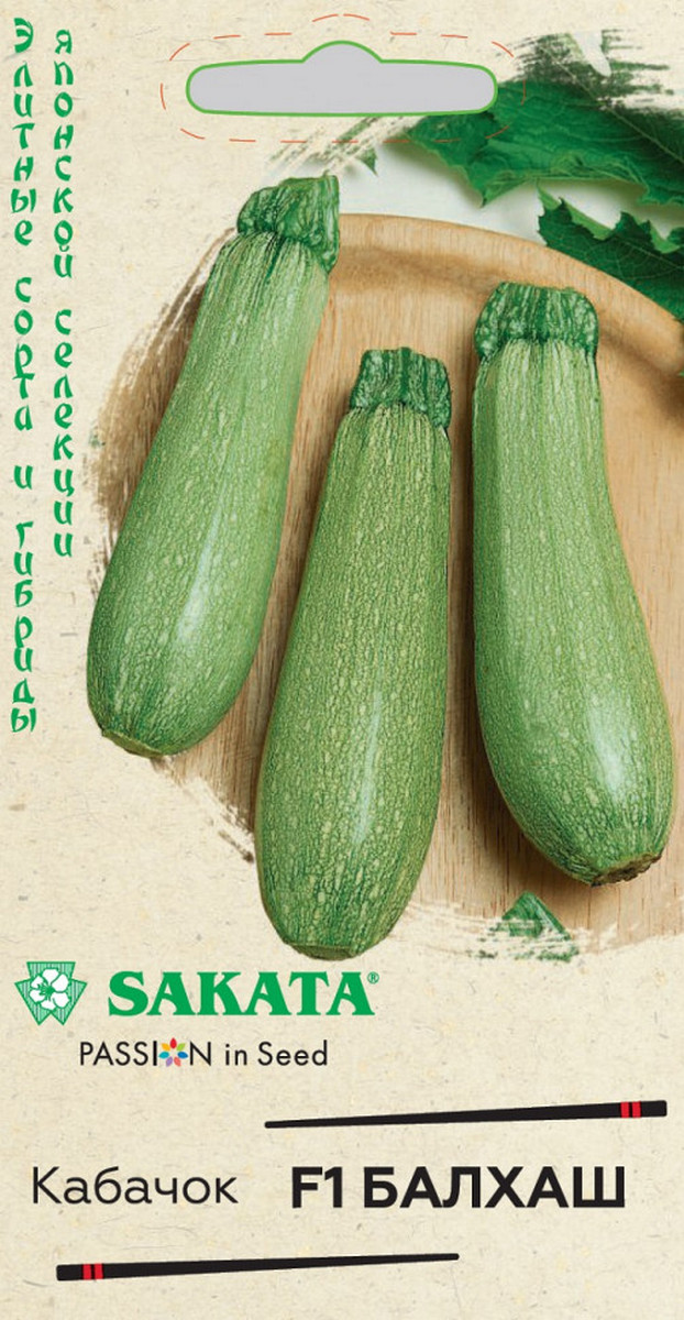 Кабачок Балхаш F1, 5 шт. Саката.