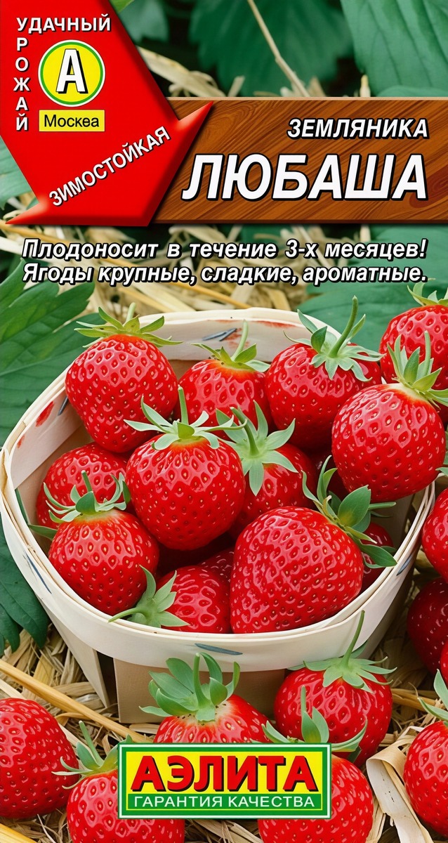 Земляника ремонтантная крупноплодная Любаша, 10 шт.