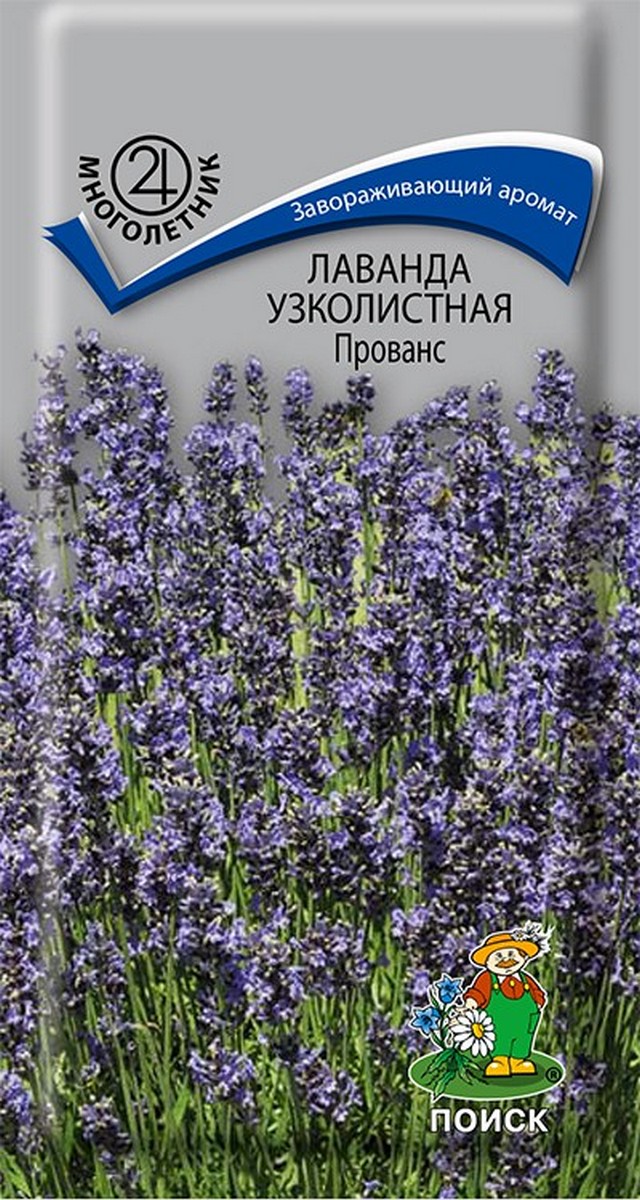 Лаванда узколистная Прованс, 0,1 г