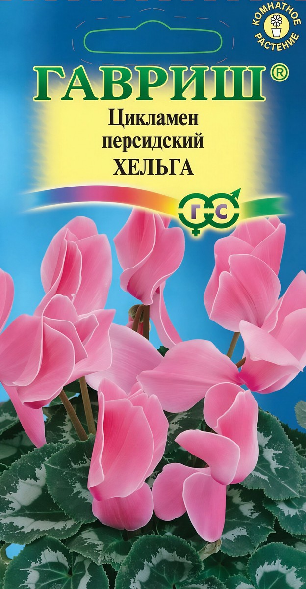 Цикламен персидский Хельга, 3 шт.